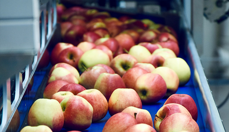6 indicadores de produtividade para acompanhar todos os dias